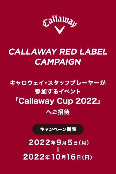 RED-Campaign_400x600_ol.jpg
